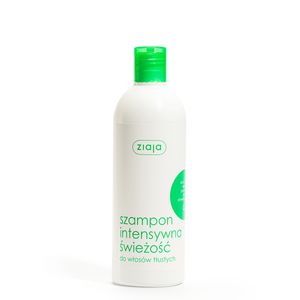 Hair Care Șampon pentru păr, mentă 400 ml