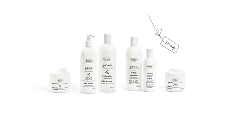 image-alt-69dda684cc2a7 image-alt-69dda684cc2a7